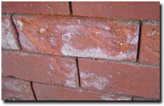 Rising damp becomes a structural issue once the mortar becomes displaced due to salt erosion.